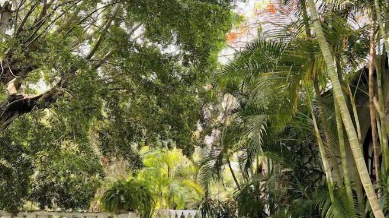 Photo of Outdoor in Yautepec