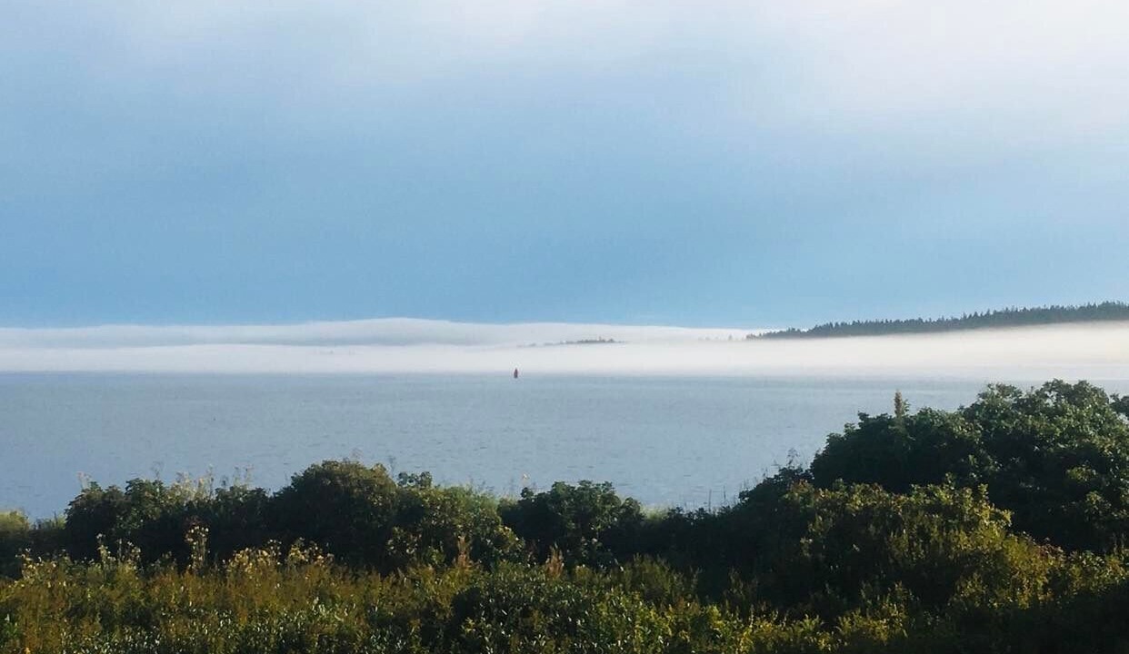 Photo of Others in Winter Harbor