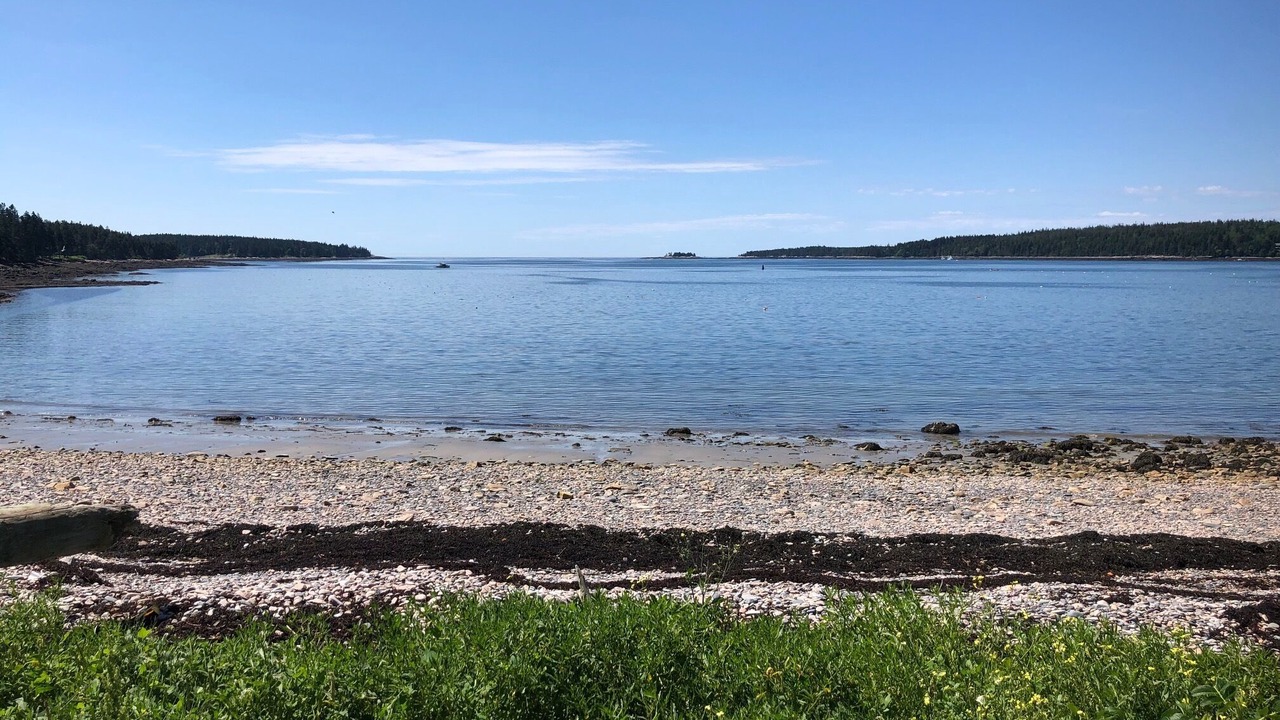 Photo of Others in Winter Harbor