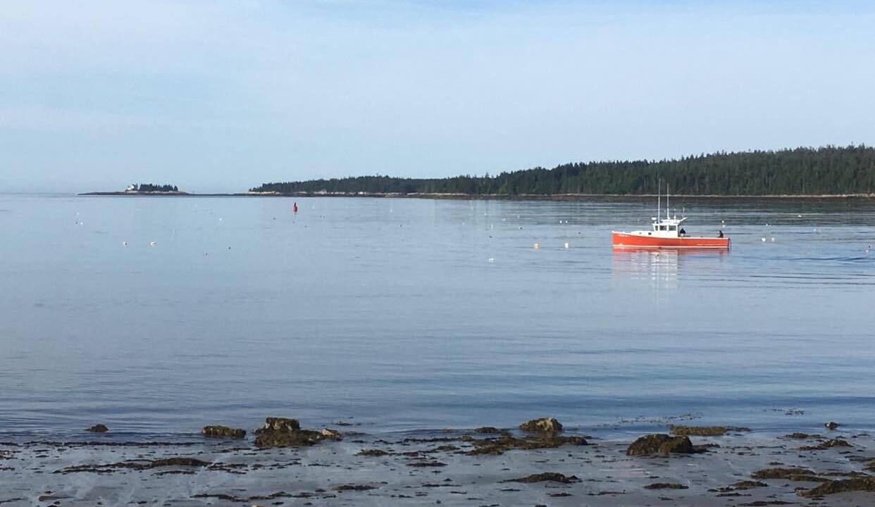 Photo of Others in Winter Harbor