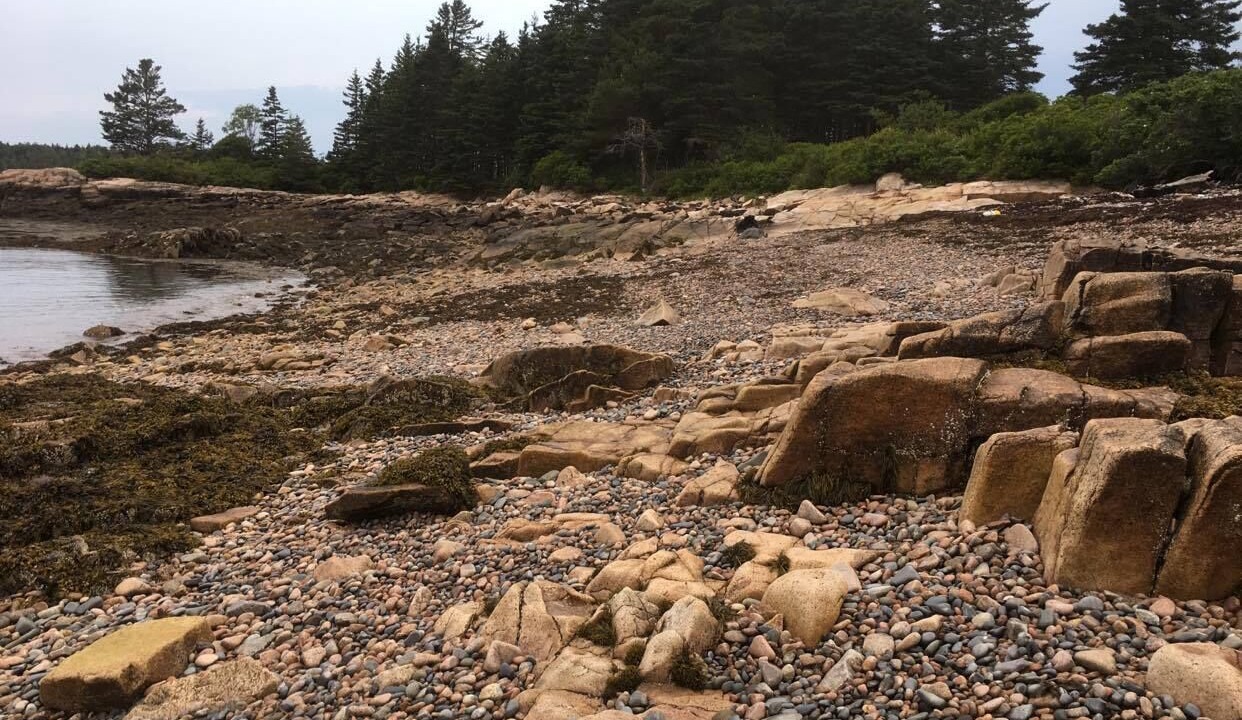 Photo of Others in Winter Harbor