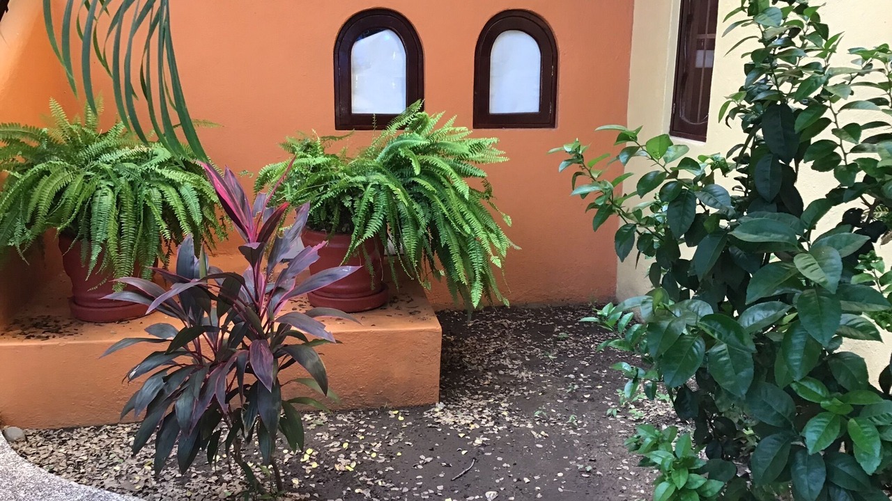 Photo of Outdoor in Playa la Madera