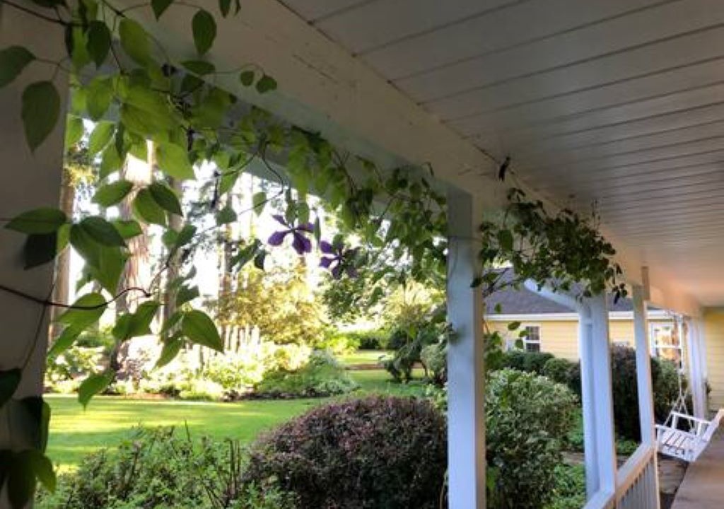 Photo of Outdoor in Newberg