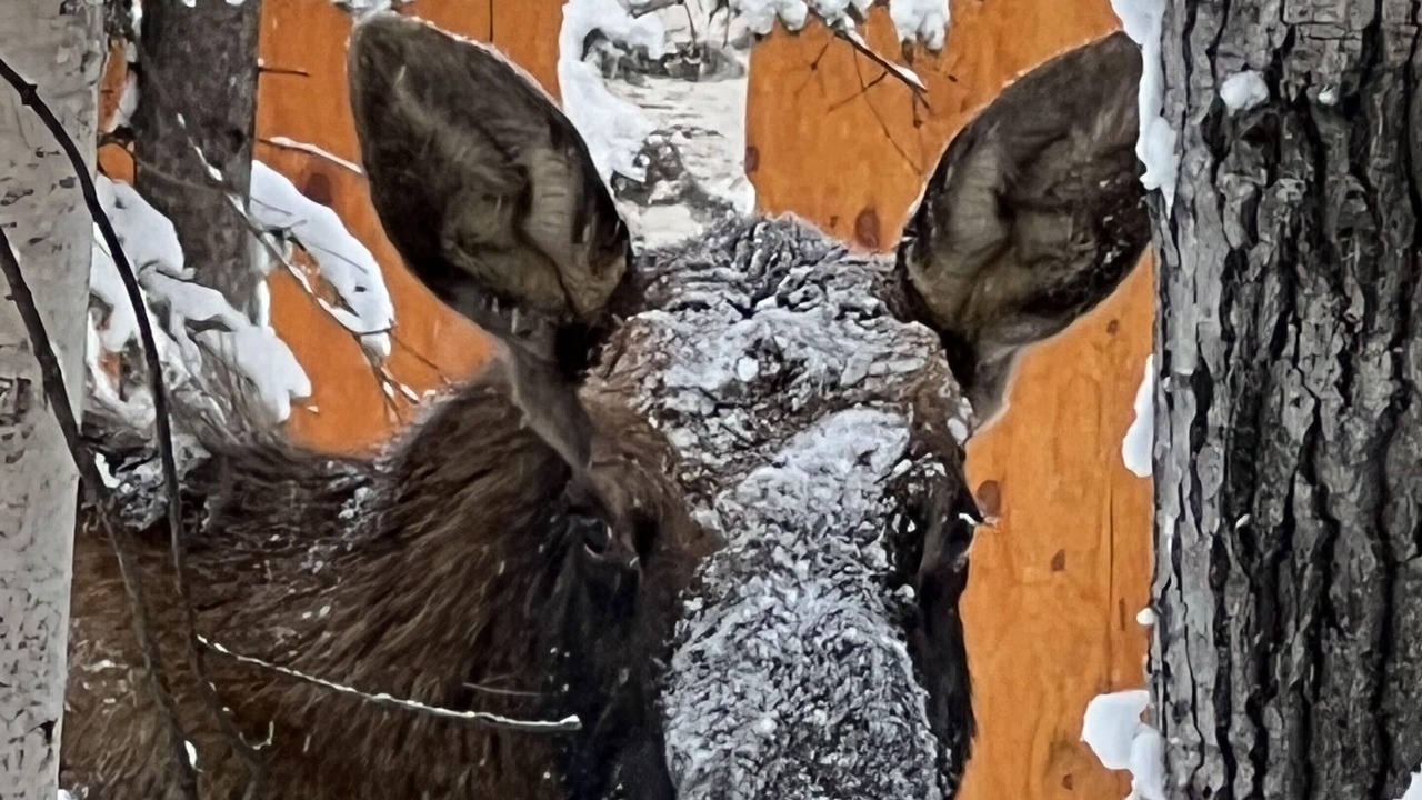 Photo of Outdoor in Wasilla
