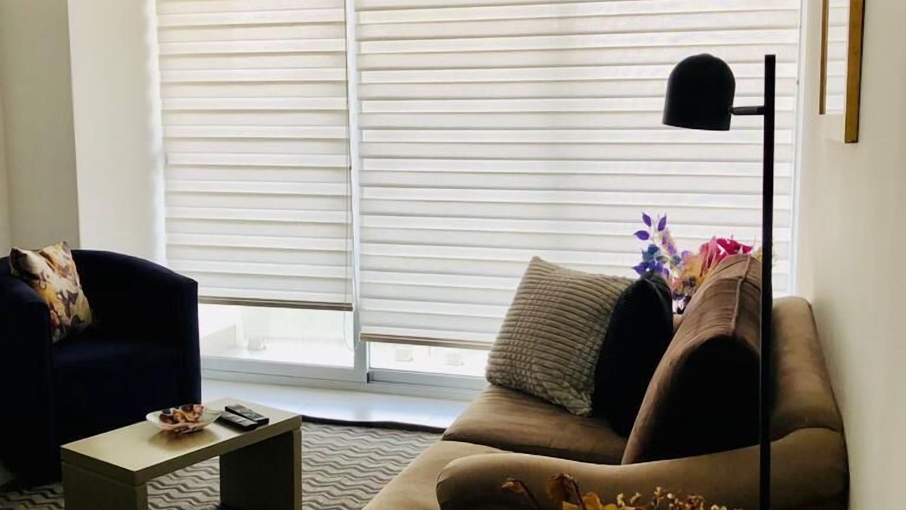 Photo of Livingroom in Coyoacan