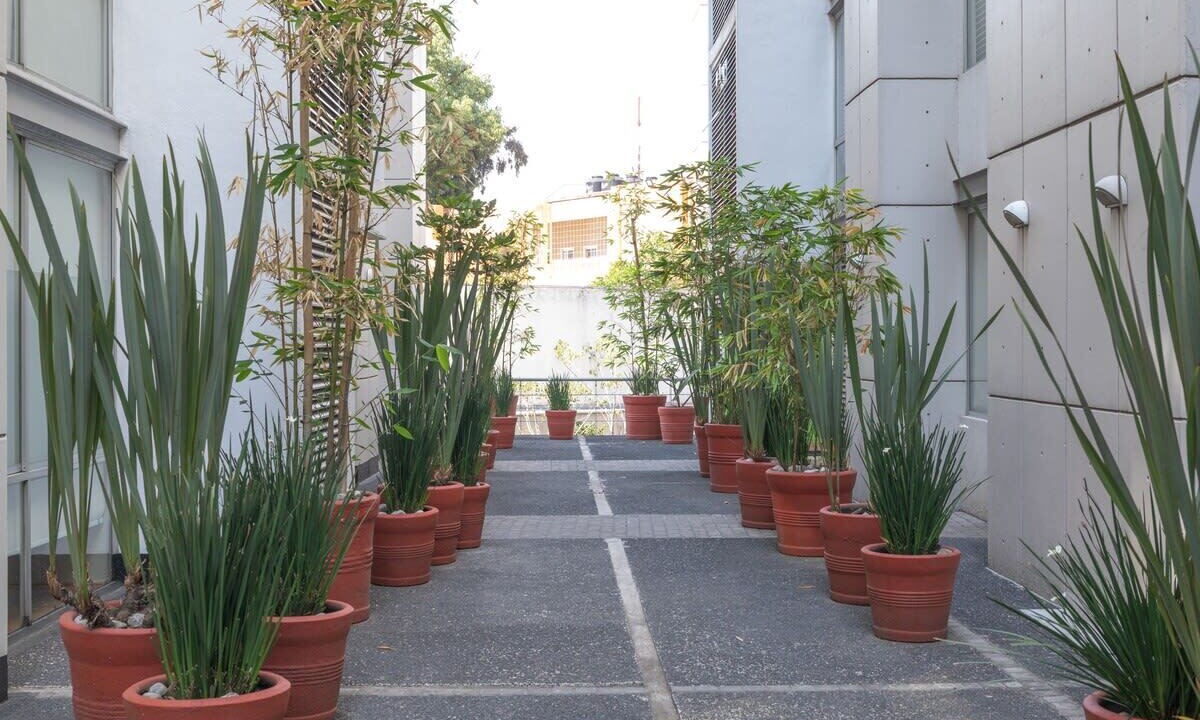 Photo of Outdoor in Del Valle