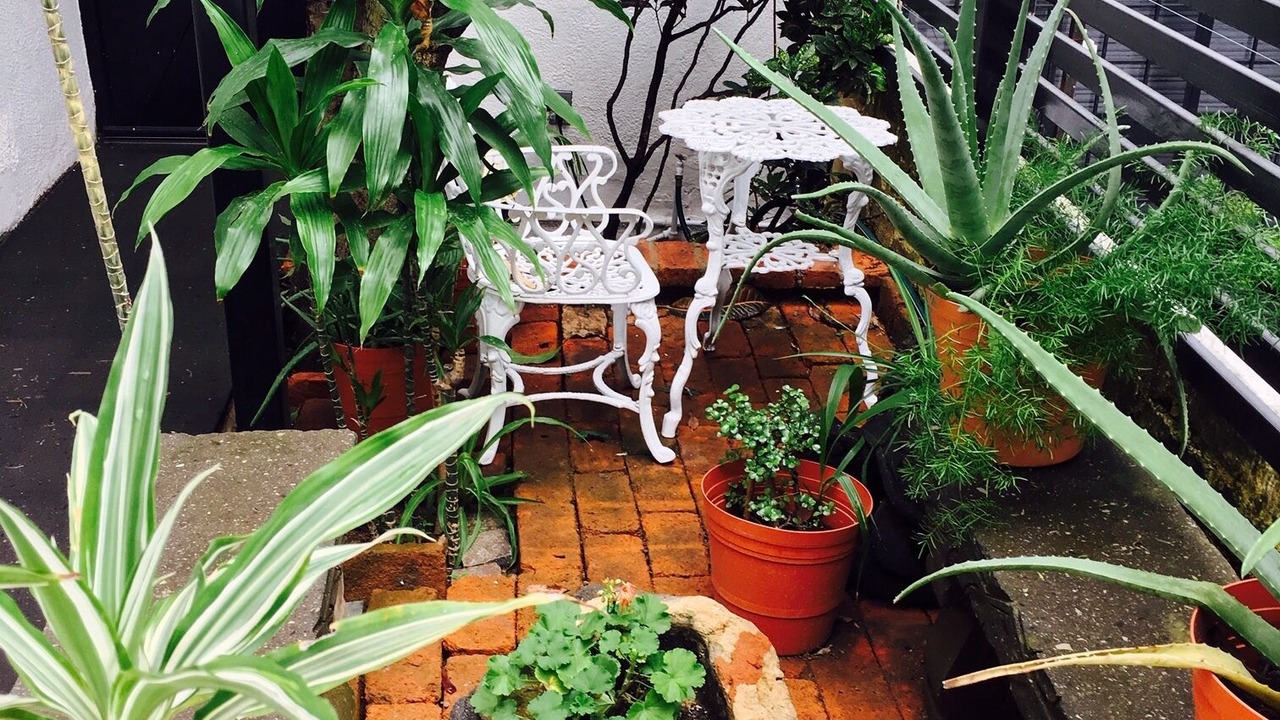 Photo of Outdoor in Guadalajara