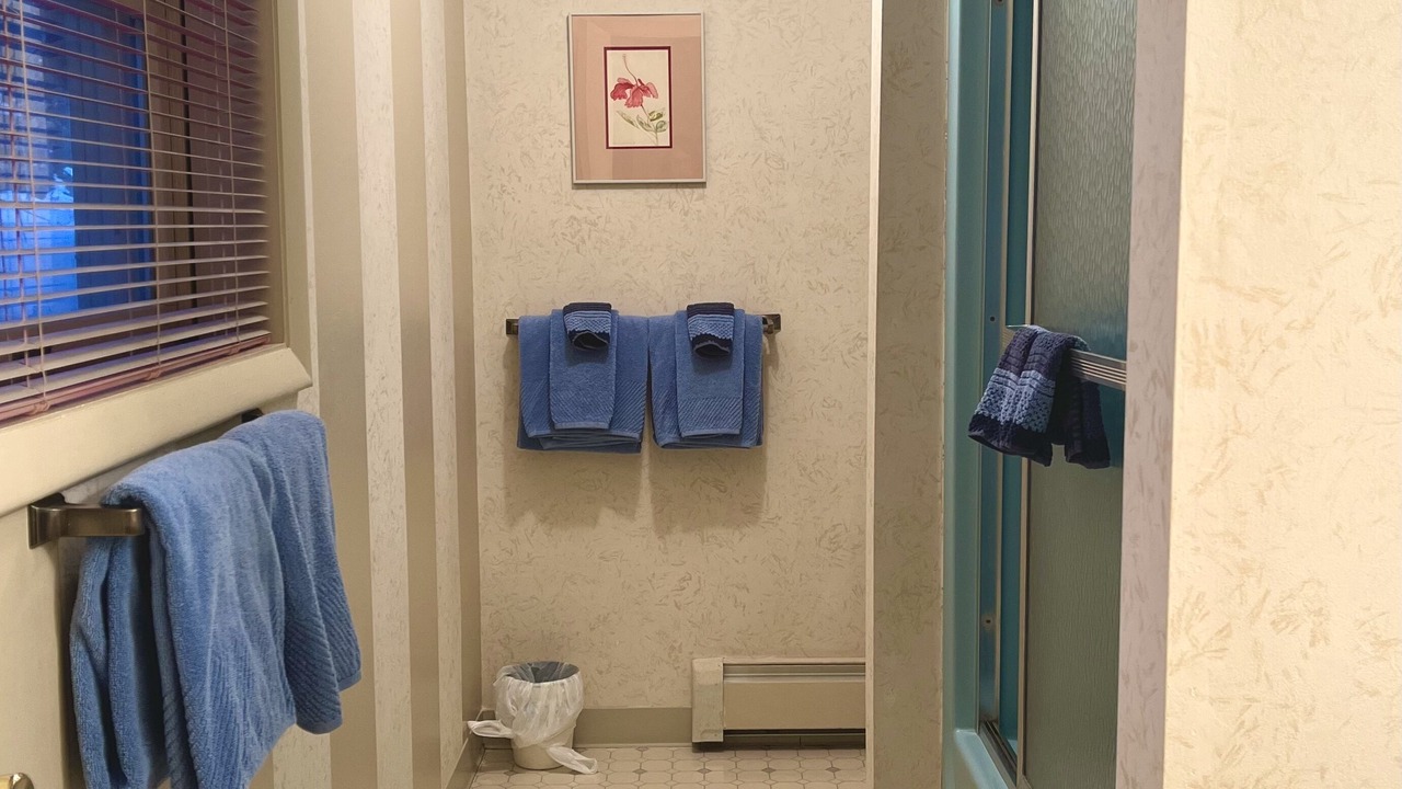 Photo of Bathroom in Mancelona