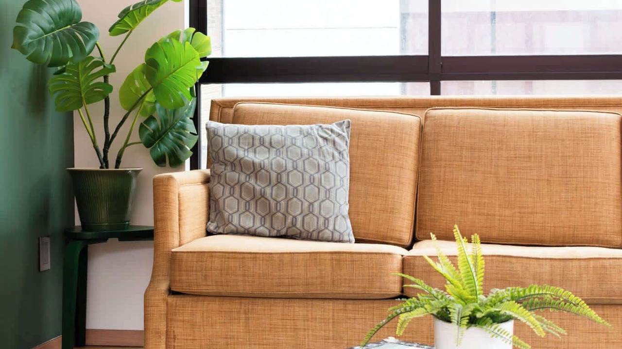 Photo of Livingroom in Escandon I Seccion