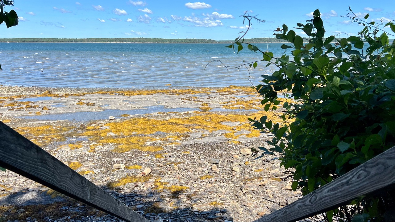 Photo of Others in Mid-Coast and Islands