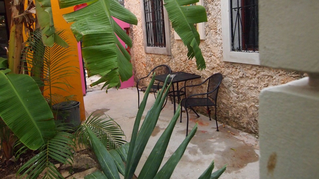 Photo of Outdoor in Zona Paseo Montejo