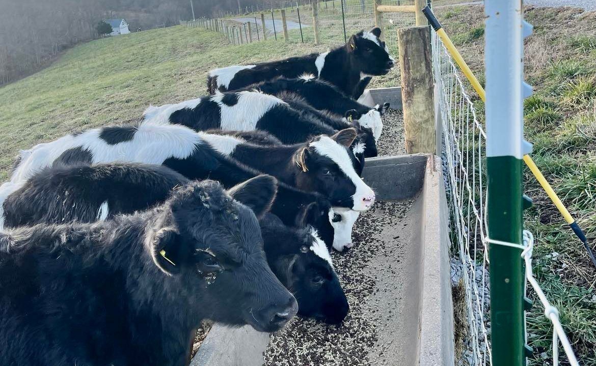 Photo of Others in Dry Ridge