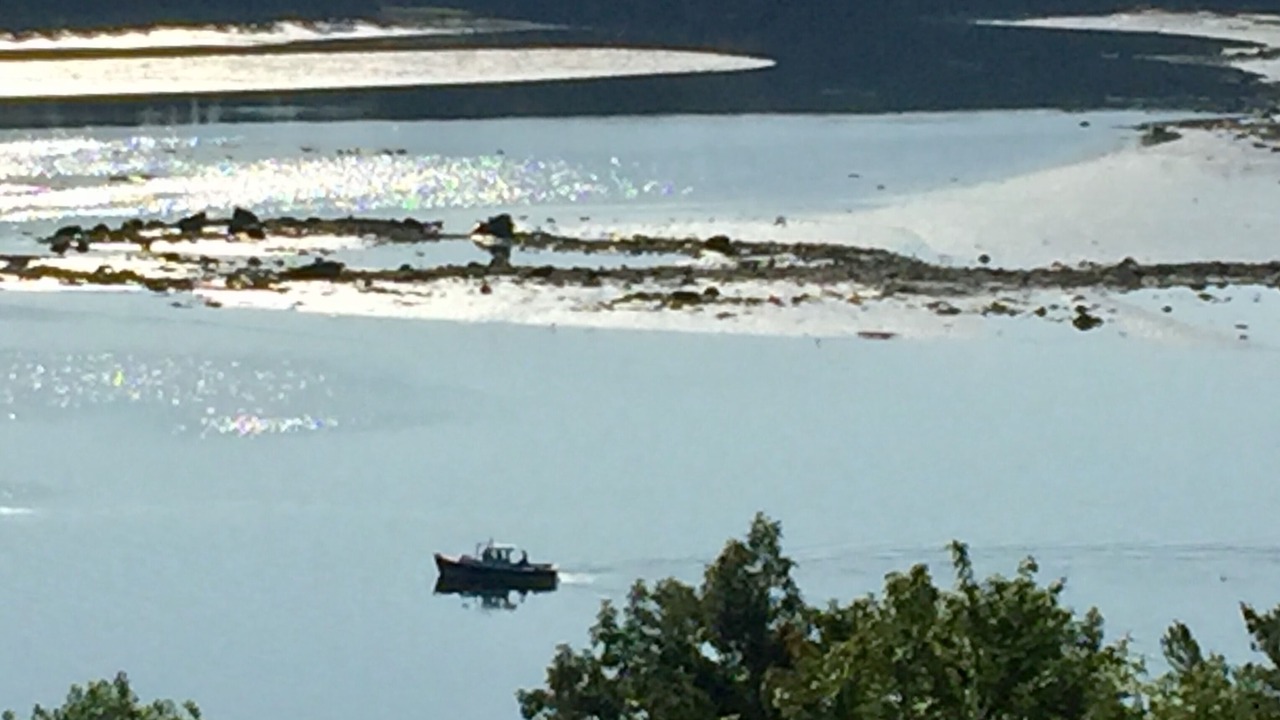 Photo of Outdoor in Wiscasset