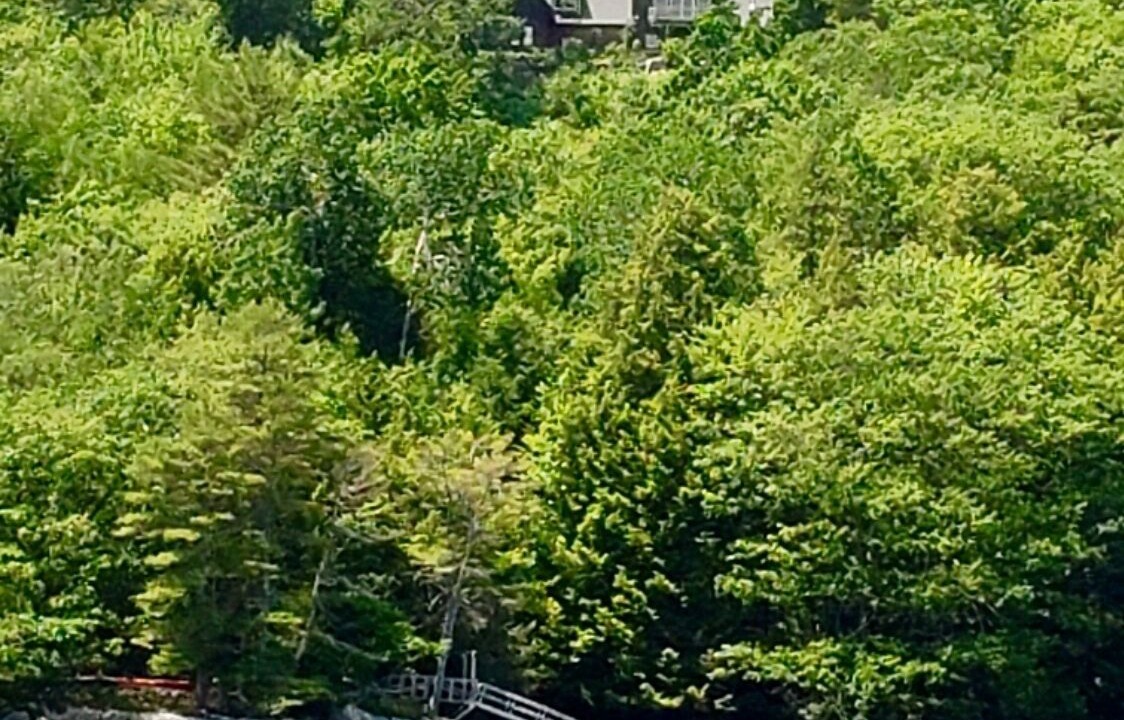 Photo of Others in Wiscasset