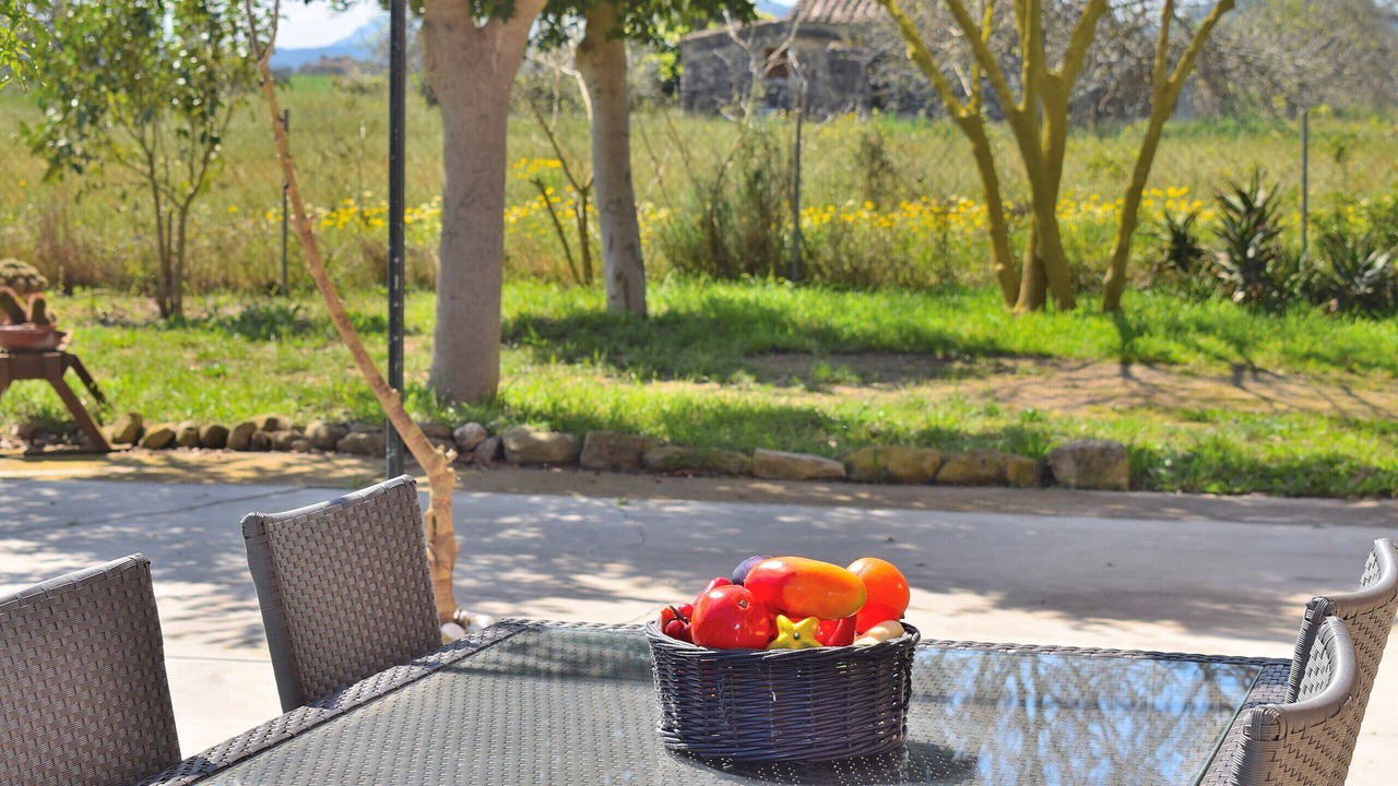 Photo of Outdoor in Sineu