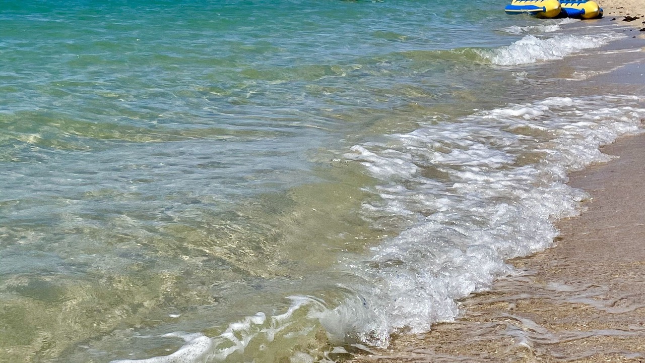 Photo of Others in Sandy Beach
