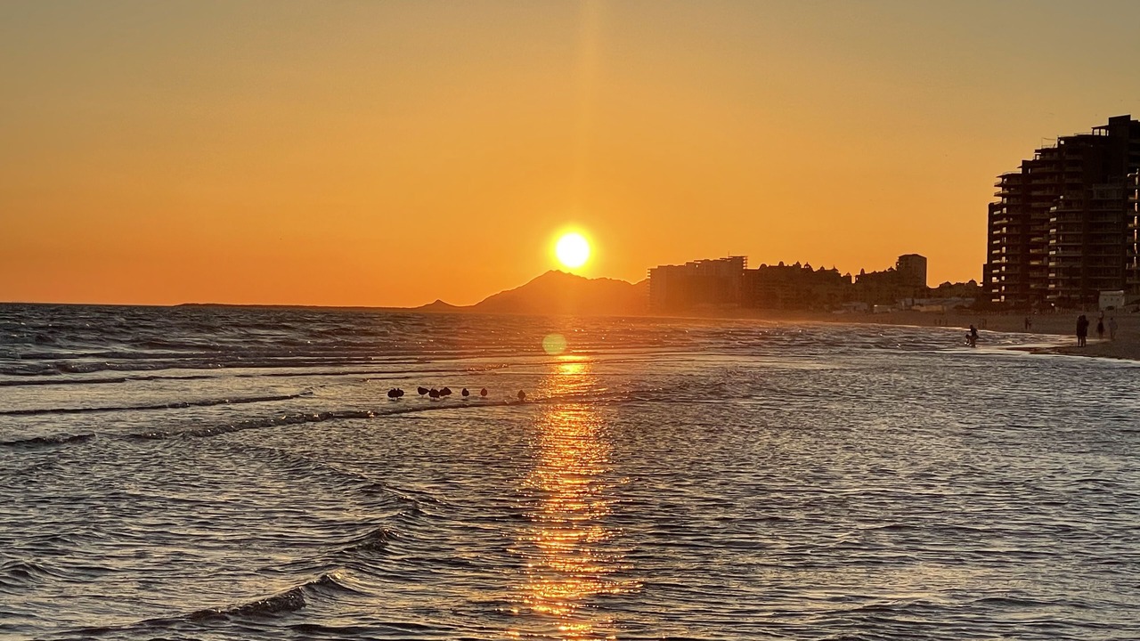 Photo of Others in Sandy Beach