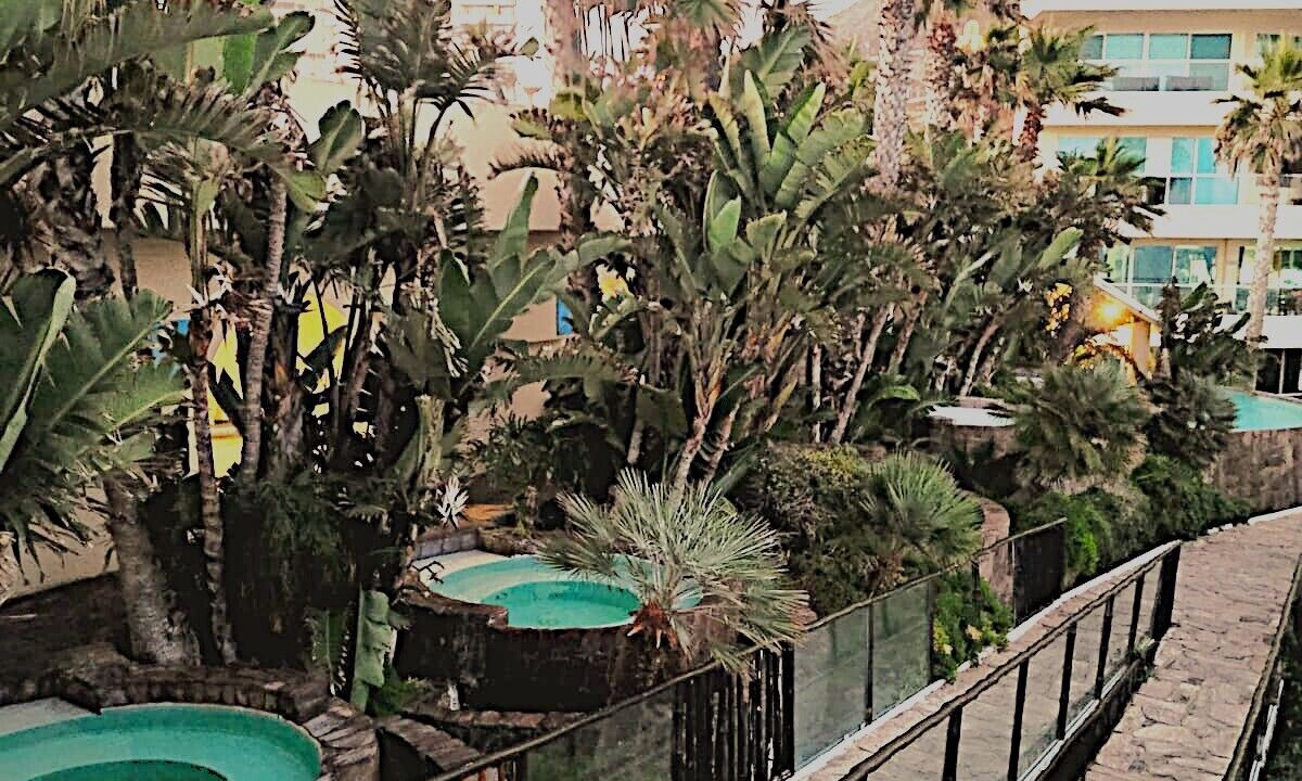 Photo of Outdoor in Plan Libertador