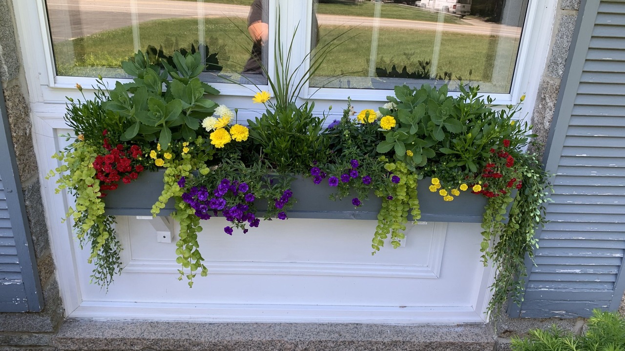Photo of Outdoor in Kennebunk