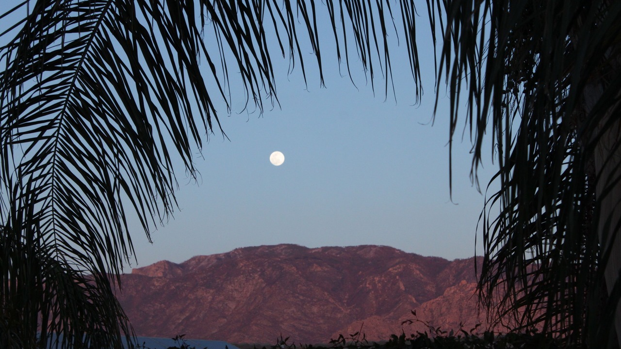 Photo of Others in Rancho Vistoso