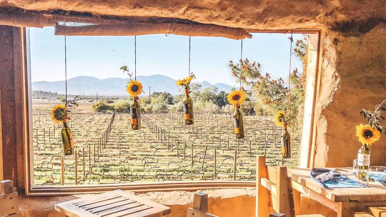 Photo of Outdoor in Valle de Guadalupe