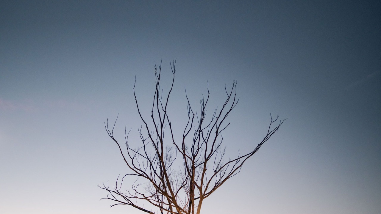 Photo of Outdoor in Valle de Guadalupe