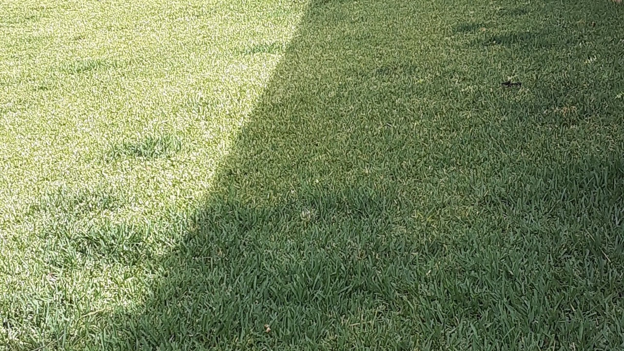 Photo of Outdoor in Cabo Bello