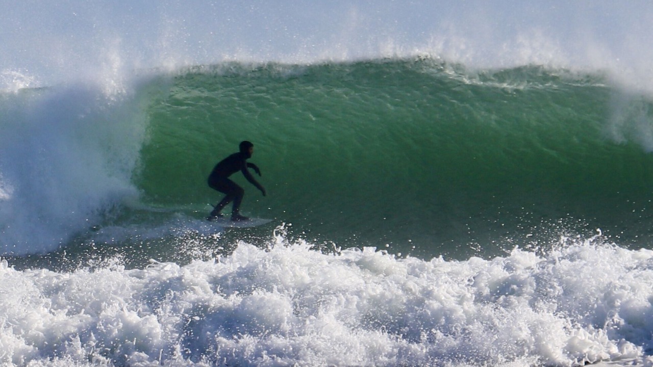 Photo of Others in Scarborough