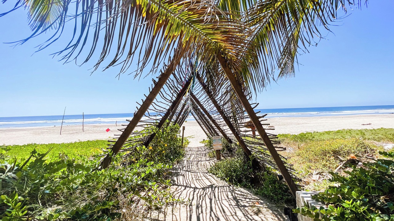 Photo of Others in Troncones