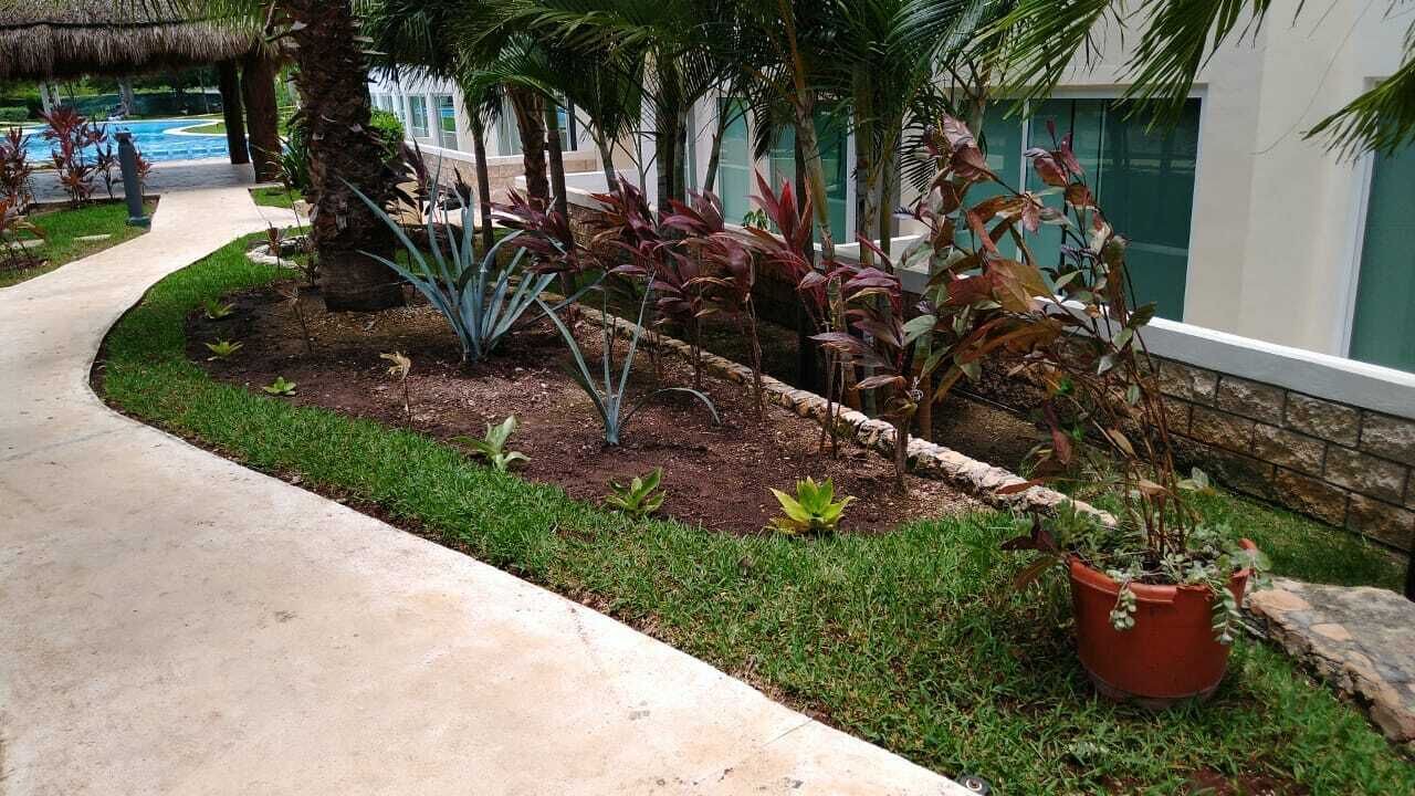 Photo of Outdoor in Puerto Juarez