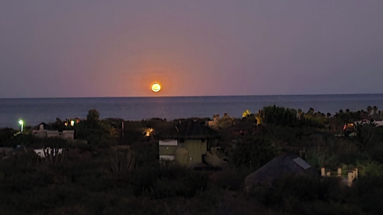 Photo of Outdoor in Cabo Pulmo