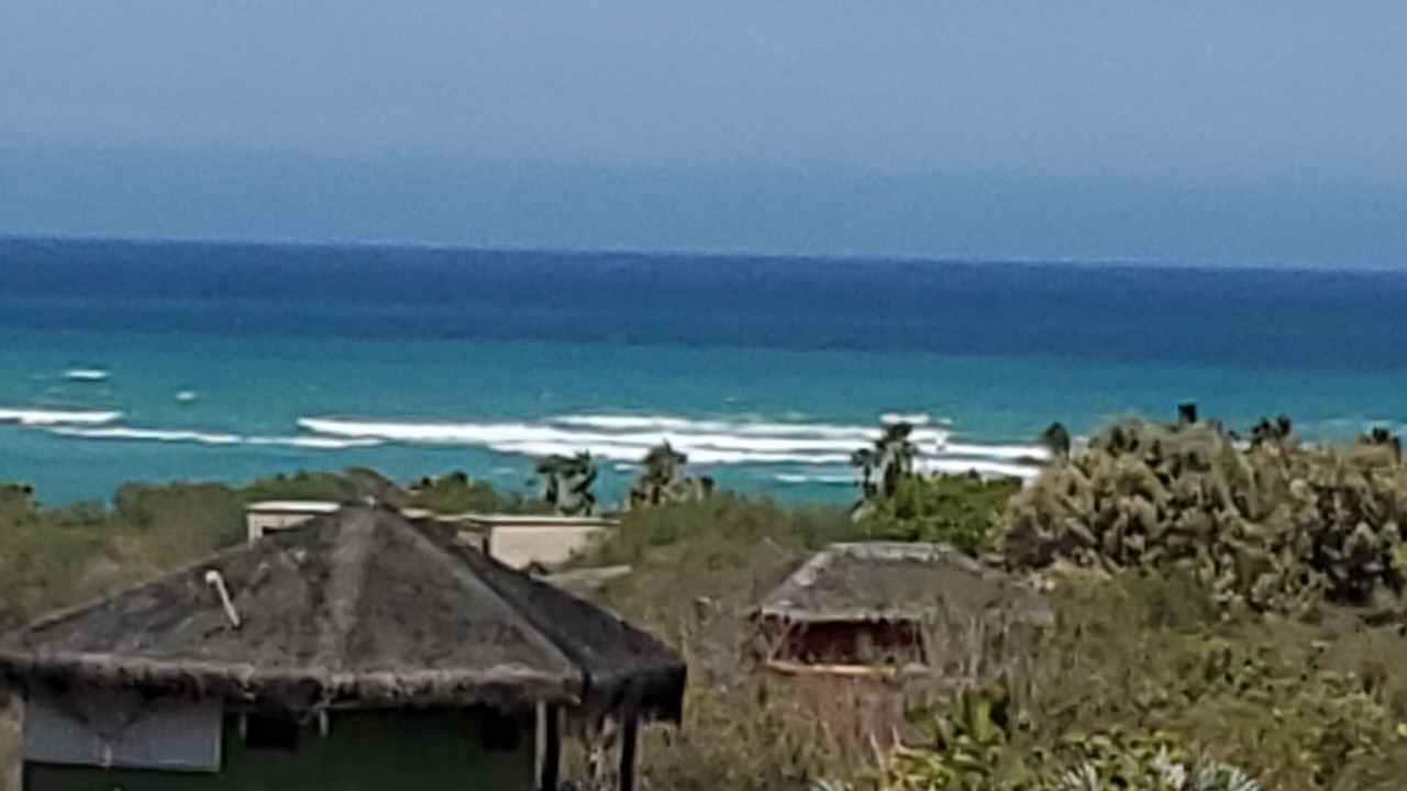 Photo of Others in Cabo Pulmo