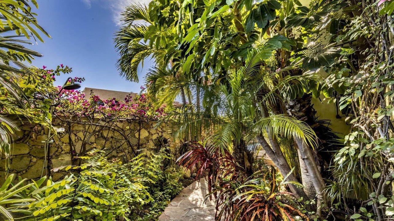 Photo of Outdoor in Cabo Bello