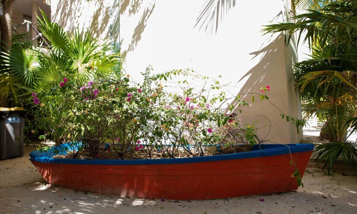 Photo of Outdoor in Progreso Municipality