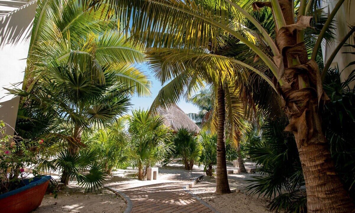 Photo of Outdoor in Progreso Municipality