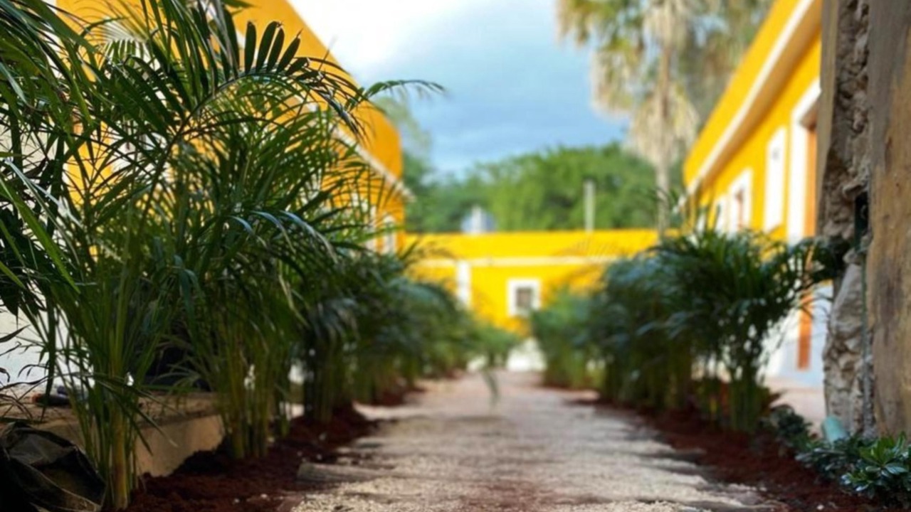 Photo of Outdoor in Barrio de Santiago