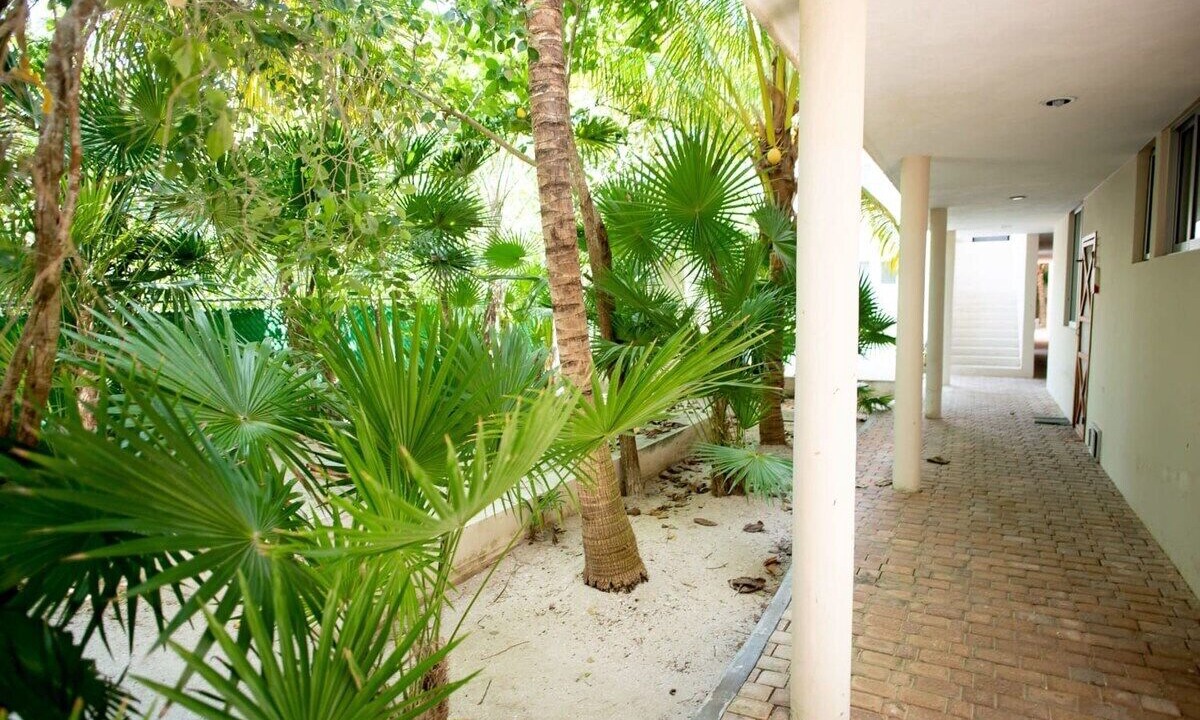 Photo of Outdoor in Progreso Municipality