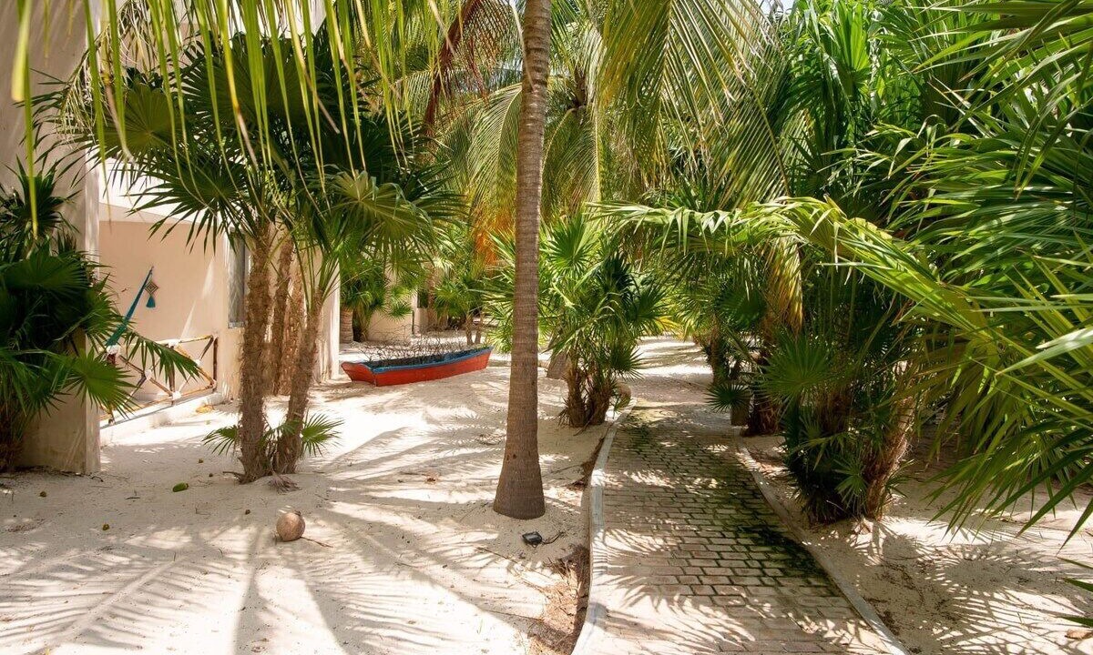 Photo of Outdoor in Progreso Municipality