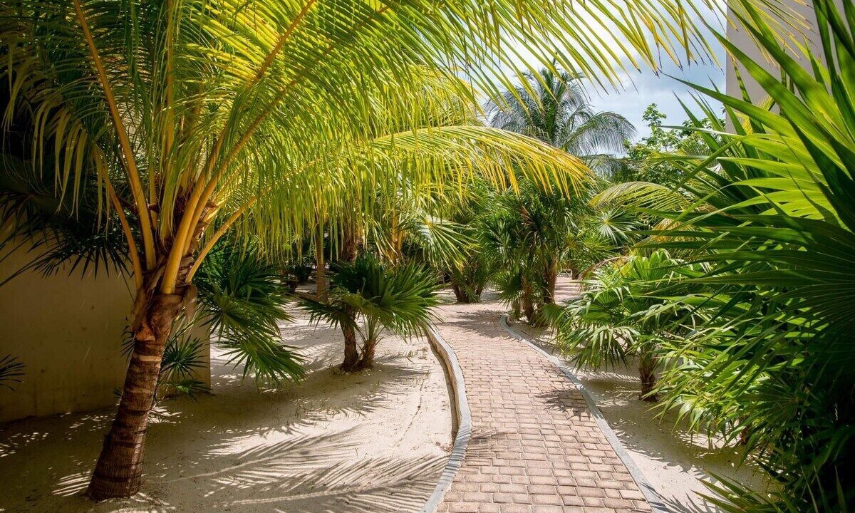 Photo of Outdoor in Progreso Municipality