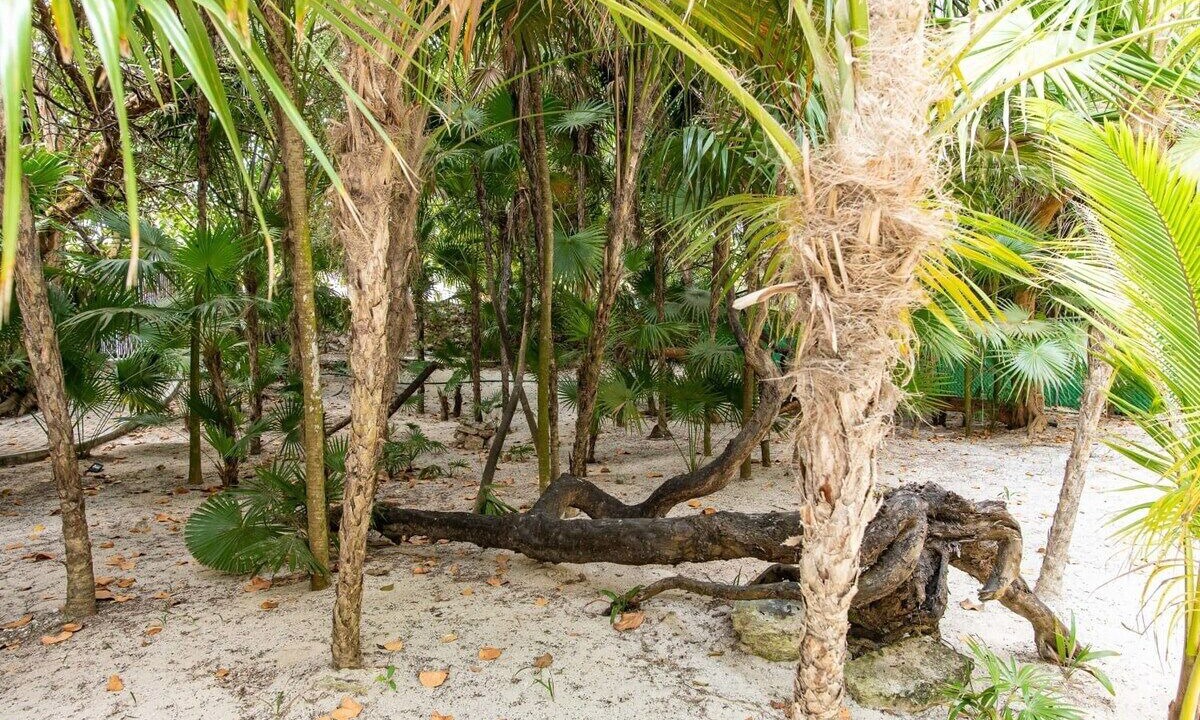 Photo of Outdoor in Progreso Municipality