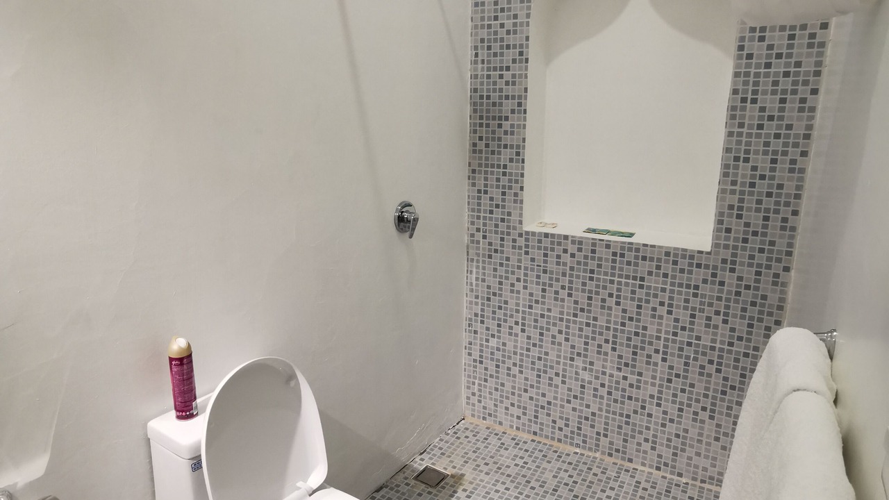 Photo of Bathroom in Downtown Guadalajara