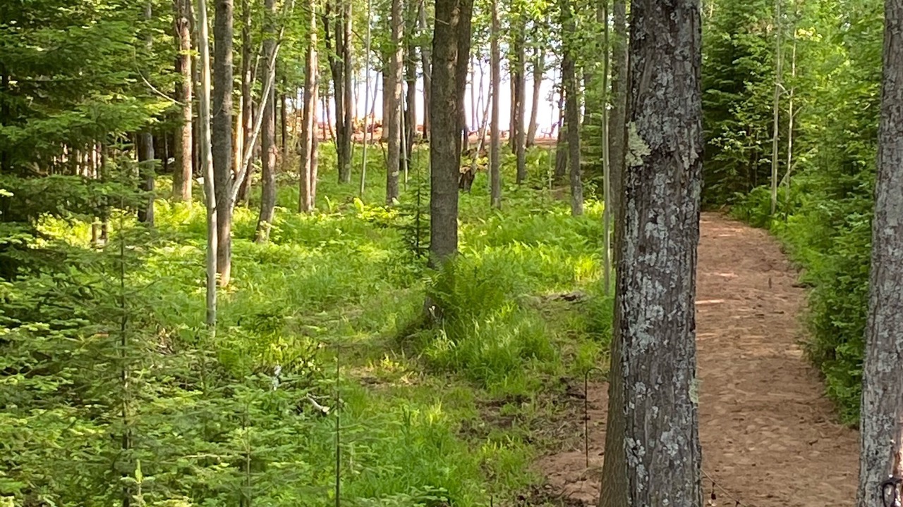 Photo of Outdoor in Ontonagon