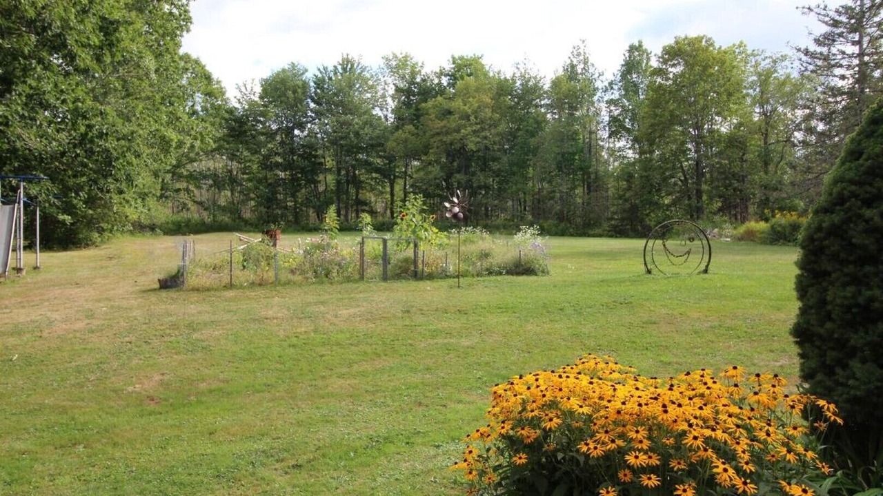 Photo of Outdoor in Frankfort