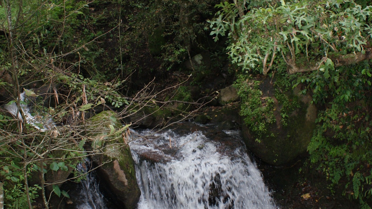 Photo of Outdoor in Charo