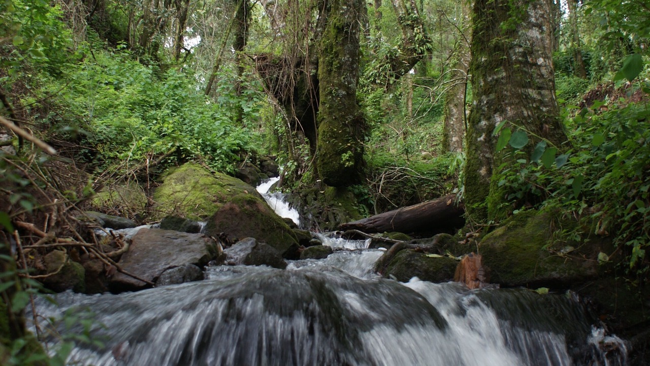Photo of Outdoor in Charo