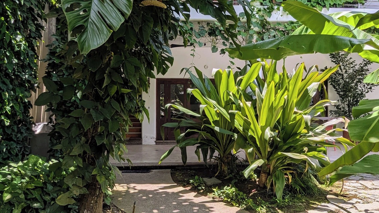 Photo of Outdoor in Lo de Marcos