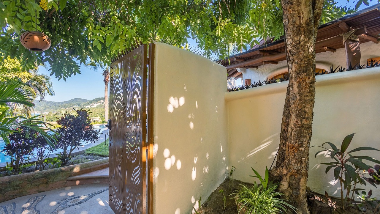 Photo of Others in Sayulita