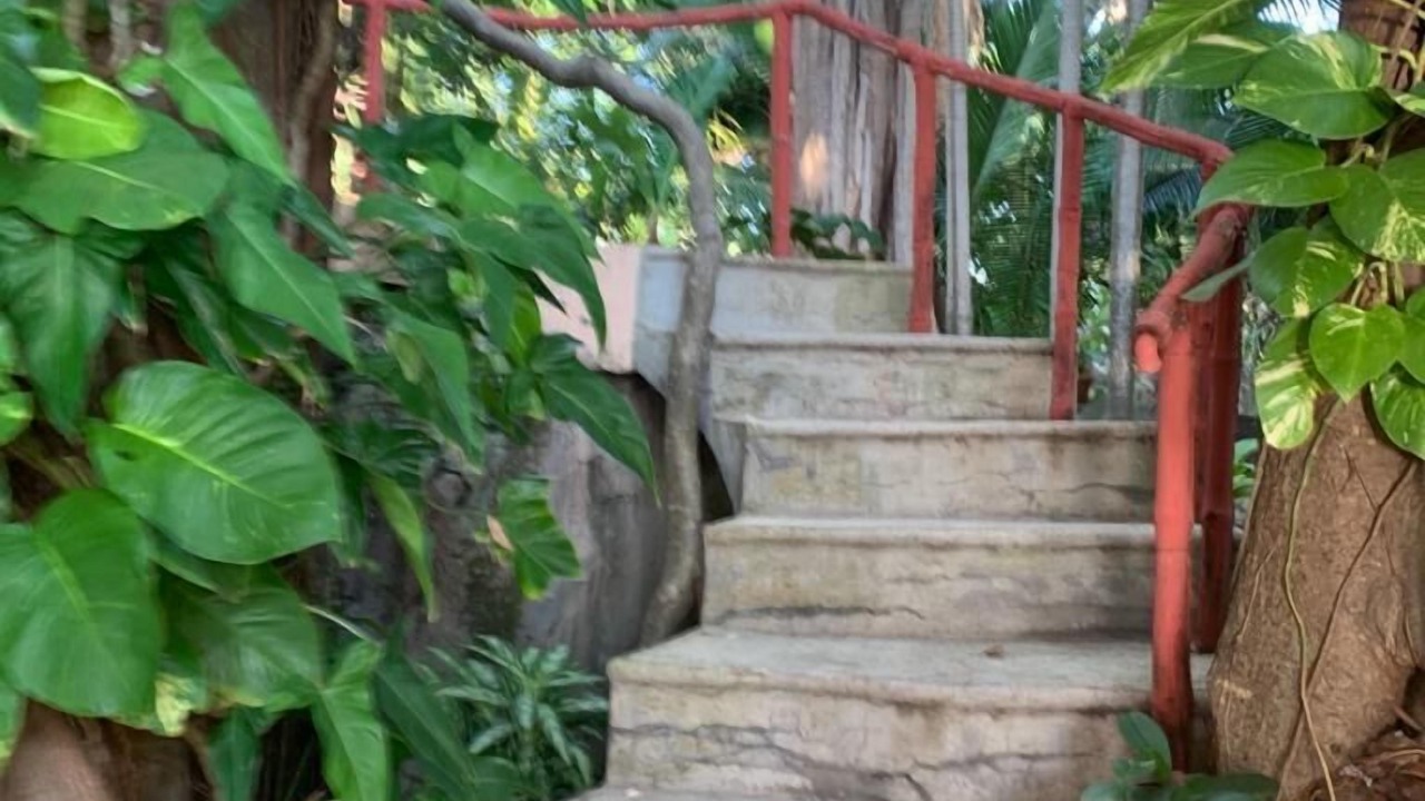 Photo of Outdoor in Platanitos