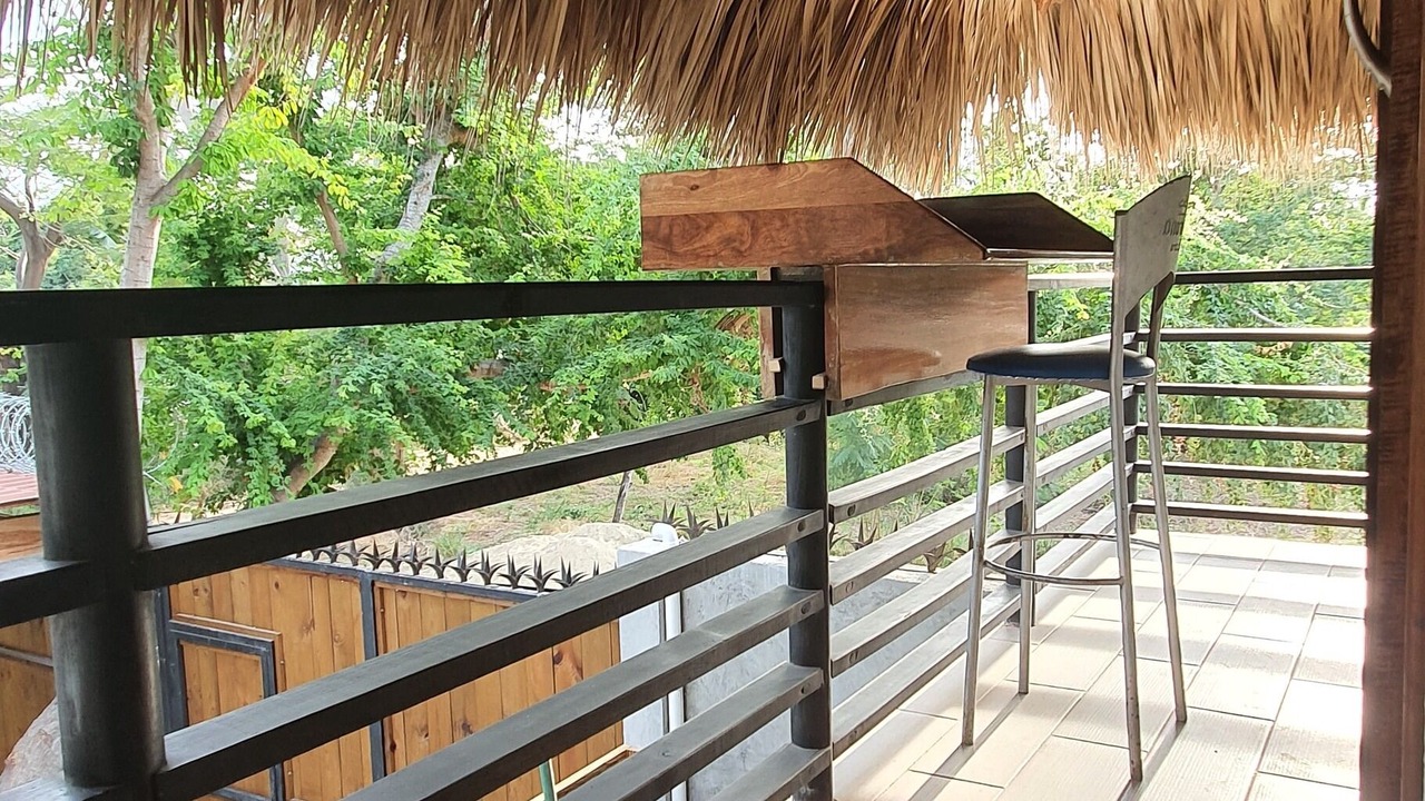 Photo of Patio Balcony in Los Tamarindos