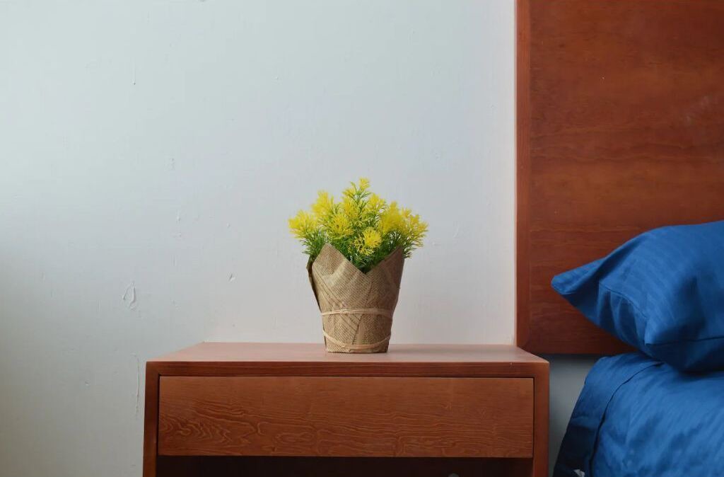 Photo of Bedroom in Fresnillo